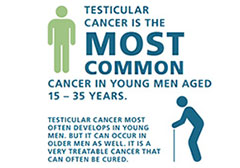 Testicular Cancer Inforgraphic