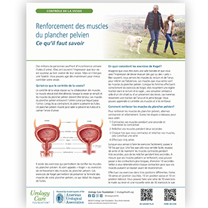 Image of the pelvic floor strengthening fact sheet in french