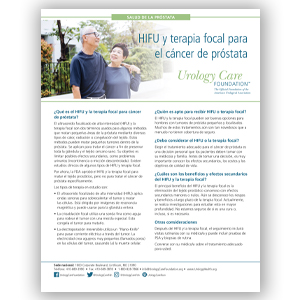 Spanish HIFU and Focal Therapy for Prostate Cancer