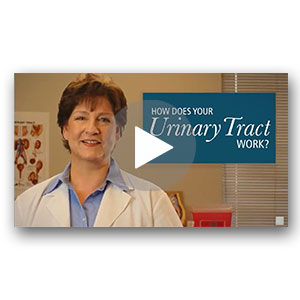 How Does Your Urinary Tract Work? 